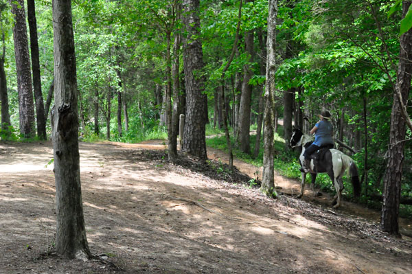 horse and rider at Lake Haigle